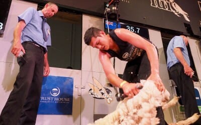 Golden Shears 2015, 55 years of competition