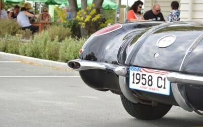 Cruise Martinborough