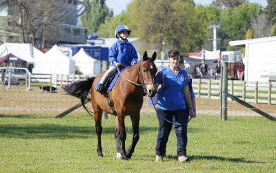Hastings Group Riding for the Disabled Association Incorporated